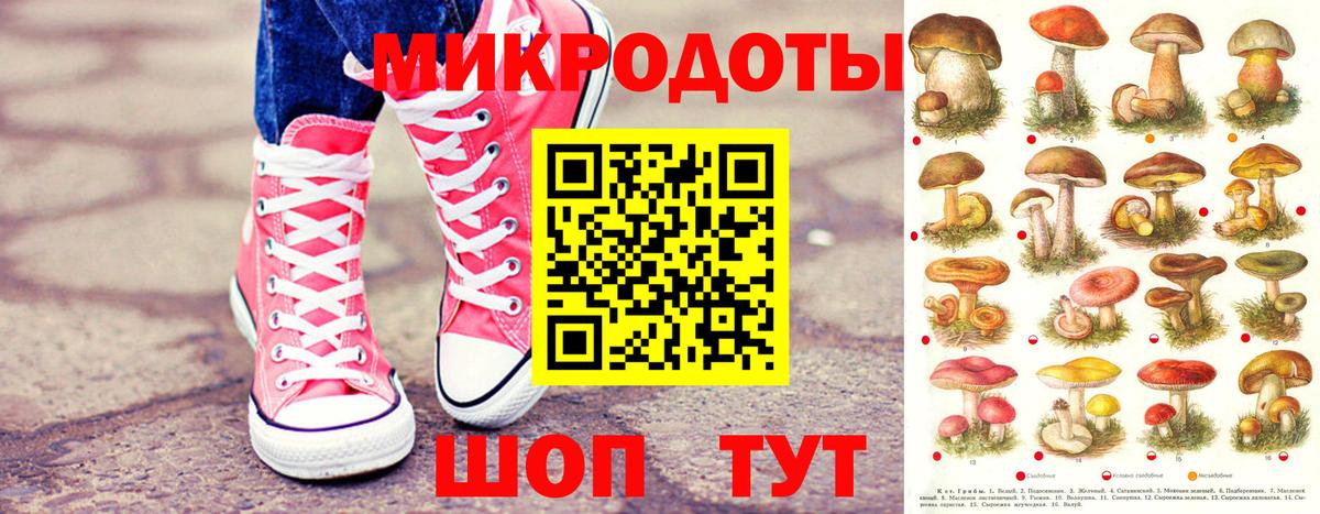 Галлюциногенные грибы Psilocybe Моздок
